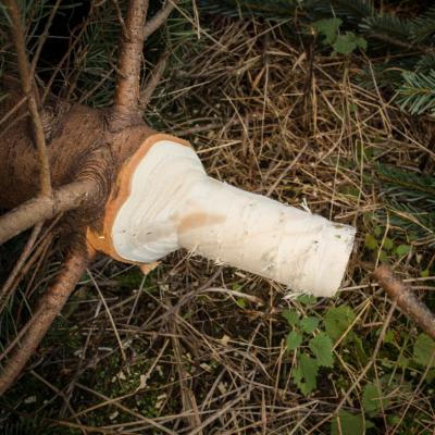 Triwi Juletræsspidser 380 volt, 50 mm hoved.