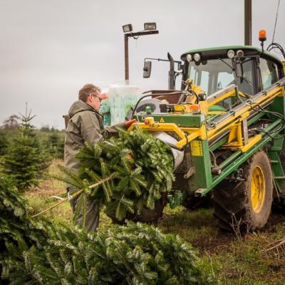 Juletræsnet LZ16  Finmasket Vacunet 14x300m