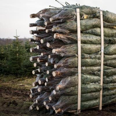 Juletræsnet LZ16  Finmasket Vacunet 14x300m