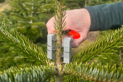 Top-Stop TWIST, tang, med 5 skær, model 2025