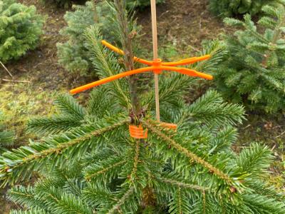 Top-X, grenkransbeskytter, til fuglepinde, 100 stk./kasse