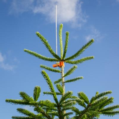 Multiklemmer MED 60 cm fuglepinde, 1000 stk., orange