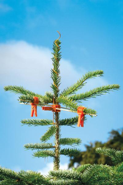 Topspiral, u/ring Plastbelagt 45cm 100 stk./bundt