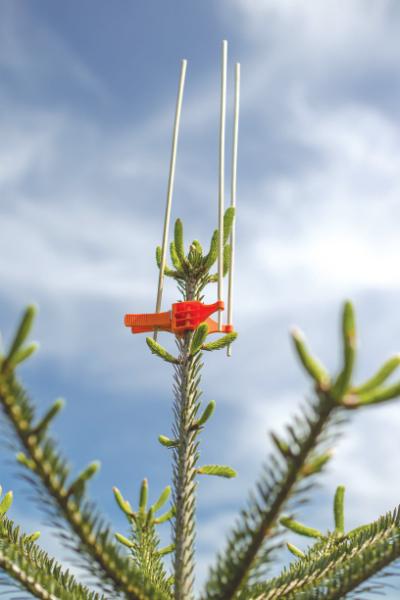 Premium, stor klemme, til fuglepinde, 100 stk./pose, orange