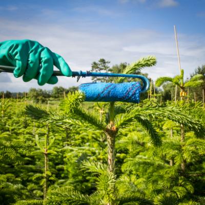 Easy Roller, Classic, t/top-regulering,  komplet m/dunk, sel