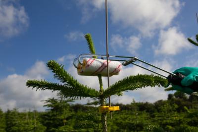 Easy Roller, løs gaffel m/ruller. Ny universal m/komfortgreb