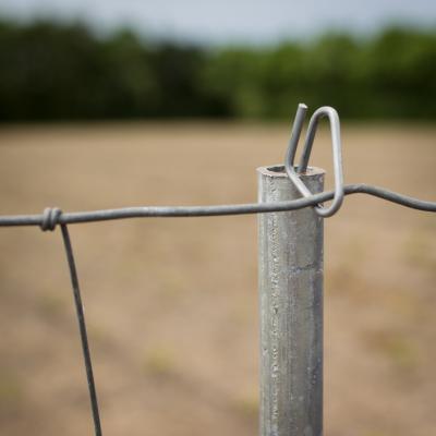 Hegnspæl, galvaniseret vandrør, 2 m, 1,2