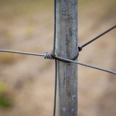 Hegnspæl, galvaniseret vandrør, 2,3 m, 1,2