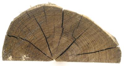 Robinia, træpæl, halvskåren, spids, Ø12-14 cm, 230 cm