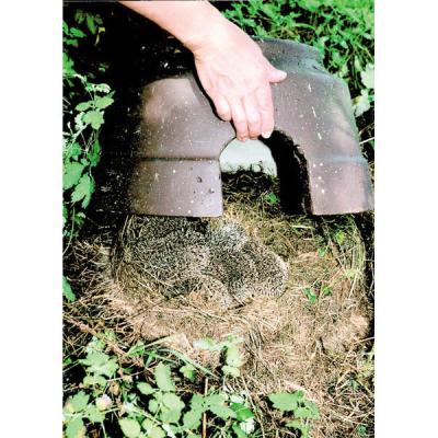 Schwegler, pindsvinekuppel, isoleret, træbeton