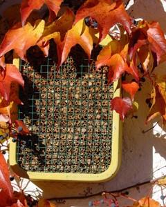 Schwegler, insekthus, træbeton, 29 x 20,5 x 22,5 cm