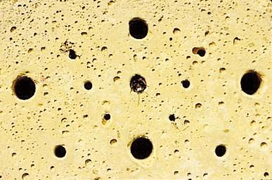 Schwegler, insektblok, træbeton, 14 x 8 x 26 cm