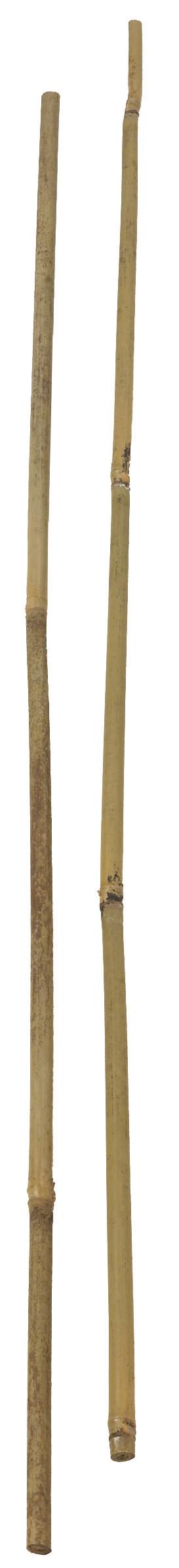 Bambus, 60 cm, Ø8-10 mm (målt i den tykke ende), 500 stk/pak