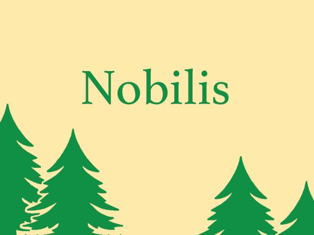 Juletræsbanner Nobilis 60X80cm polyester