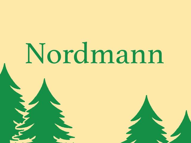 Juletræsbanner Nordmann 60X80cm polyester
