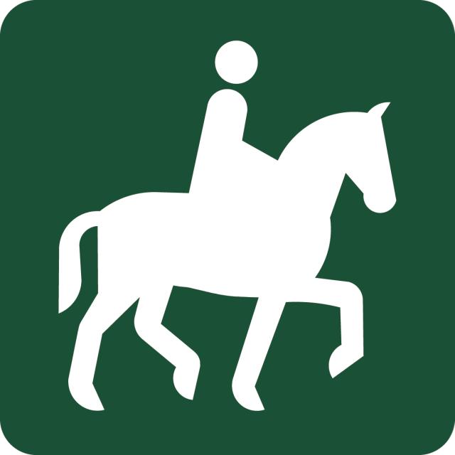 Skilt: Ridesti, 10 x 10 cm