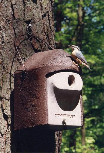 Schwegler, 2GR, træbeton, mejesekasse, ovalt indg.hul: 30 x