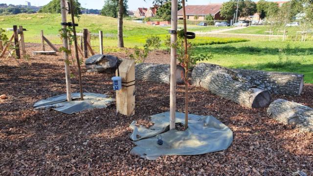 Anbinden und bewässern