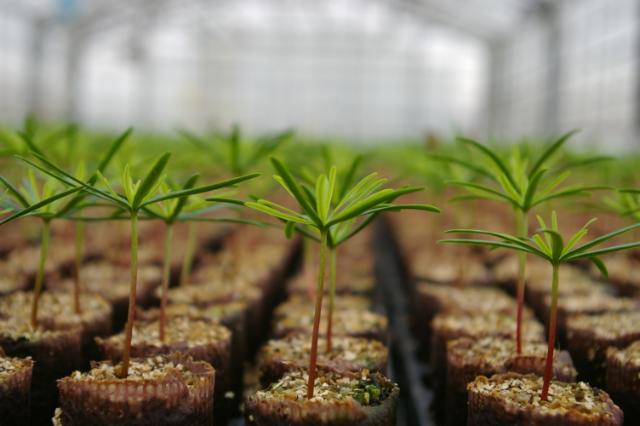 Töpfe und Transport