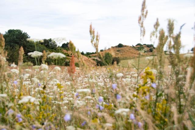 Unkrautvlies und Mulchplatten