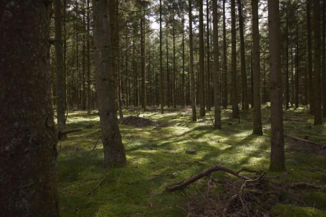 Werkzeuge für Schnittgrün