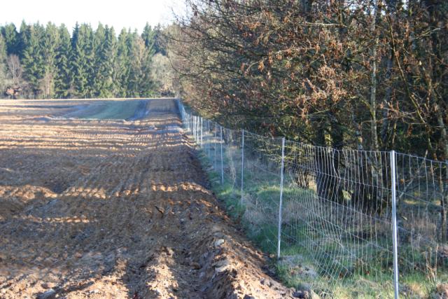 Wildzaun und Kulturgatter