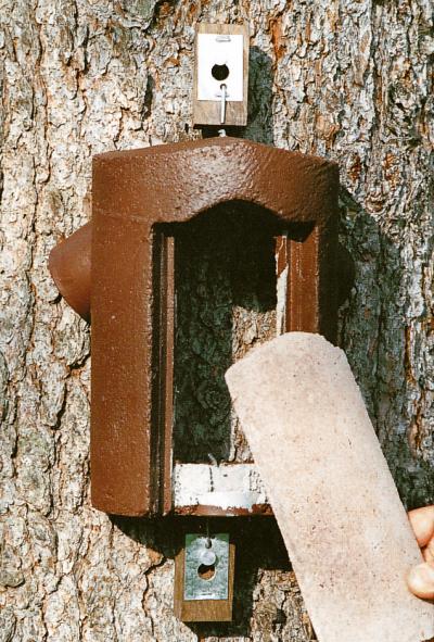 Schwegler, fuglekasse, 2B, træløber, træbeton