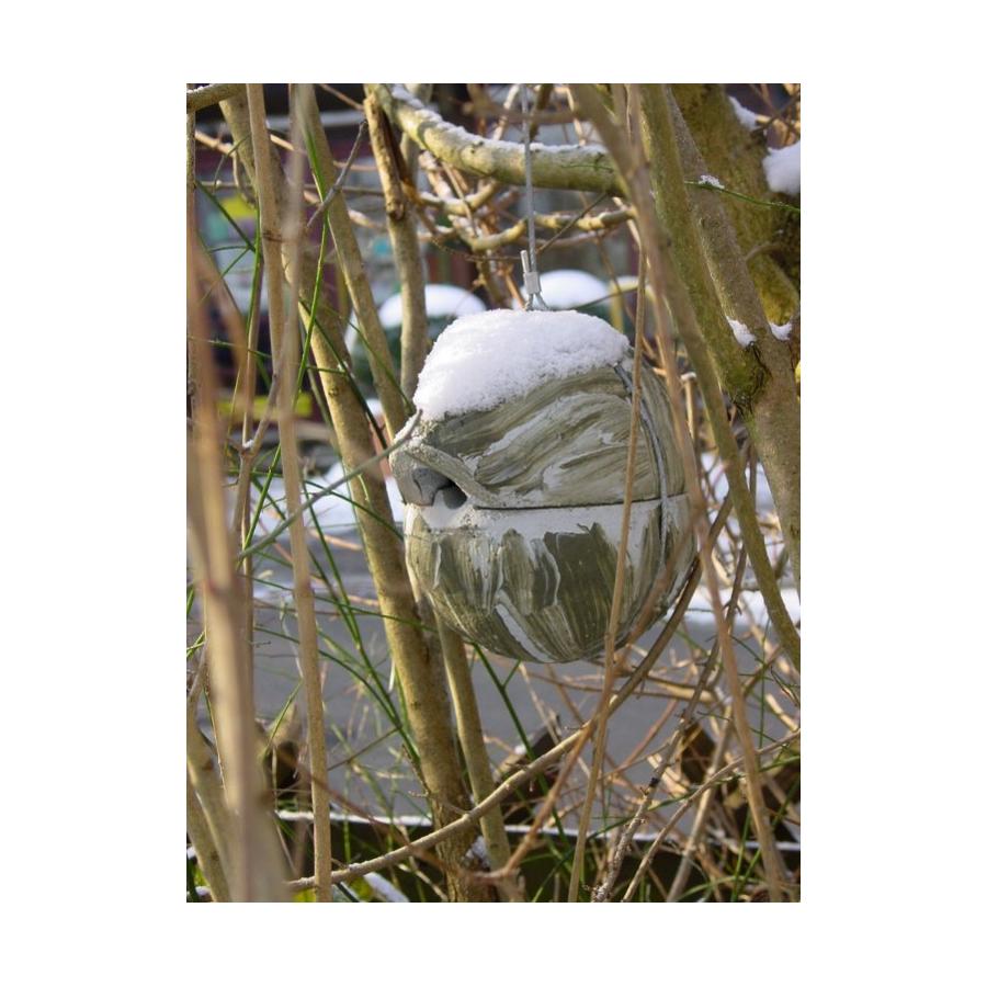 Schwegler, fuglekasse,1ZA, træbeton, gærdesmutte, rund, grøn