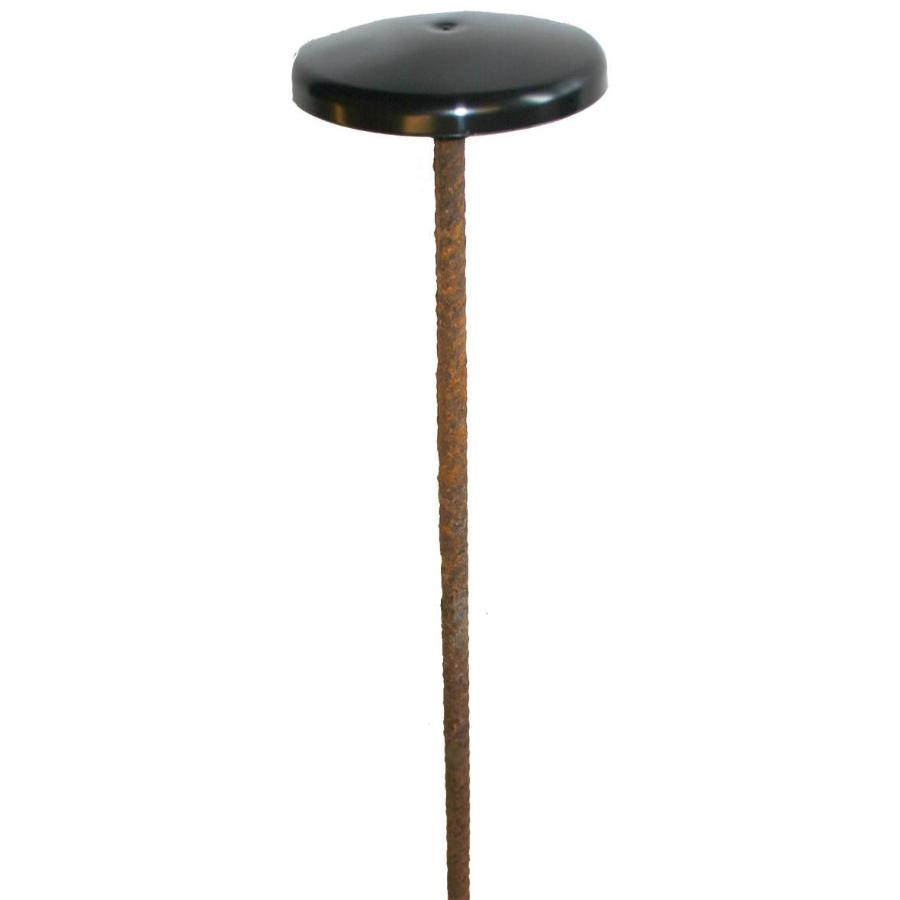 Stålpæl til paddehat, 10 x 800 mm